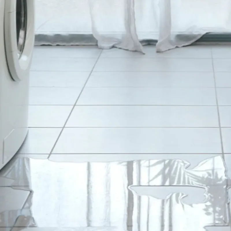Appliance Leak Cleanup in Jo Daviess County, IL