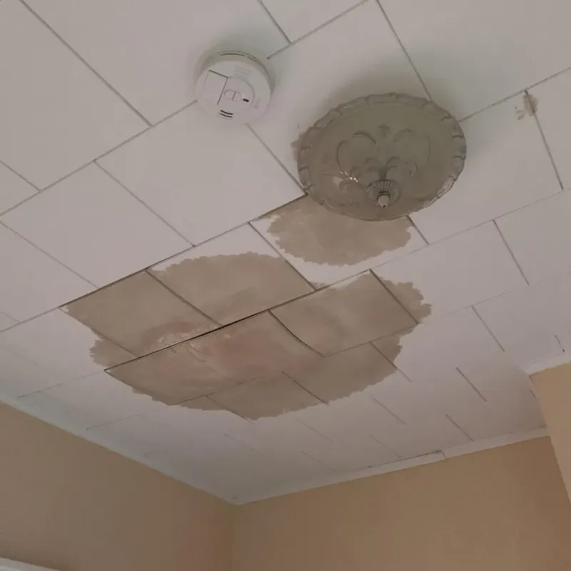 Ceiling Water Damage Repair in Jo Daviess County, IL