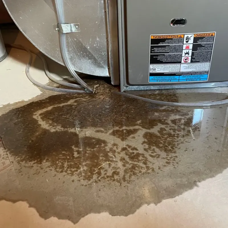 Pipe Burst and Leak Restoration in Jo Daviess County, IL