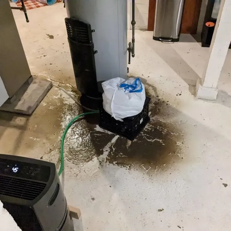 Sewage Backup Cleanup Service in Jo Daviess County, IL